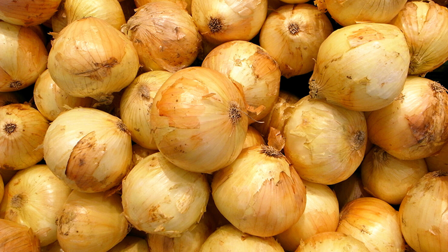 Yellow Onions     