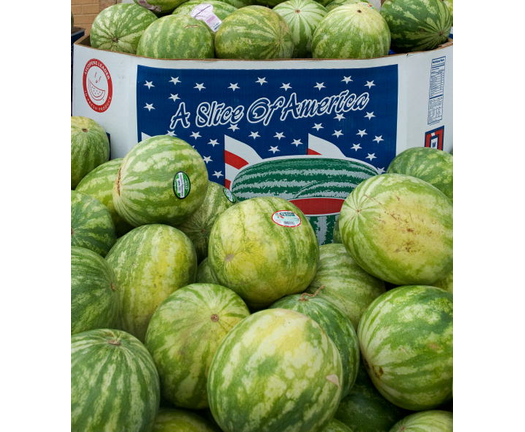 Watermelons for sale at a grocery store