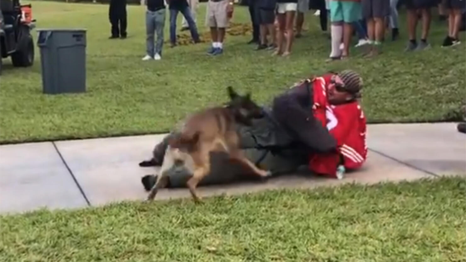 Navy Investigates Video of Dogs Attacking Man in Kaepernick Jersey