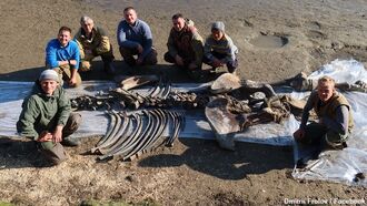 Watch: Incredibly Well-Preserved Woolly Mammoth Remains Found in Siberia
