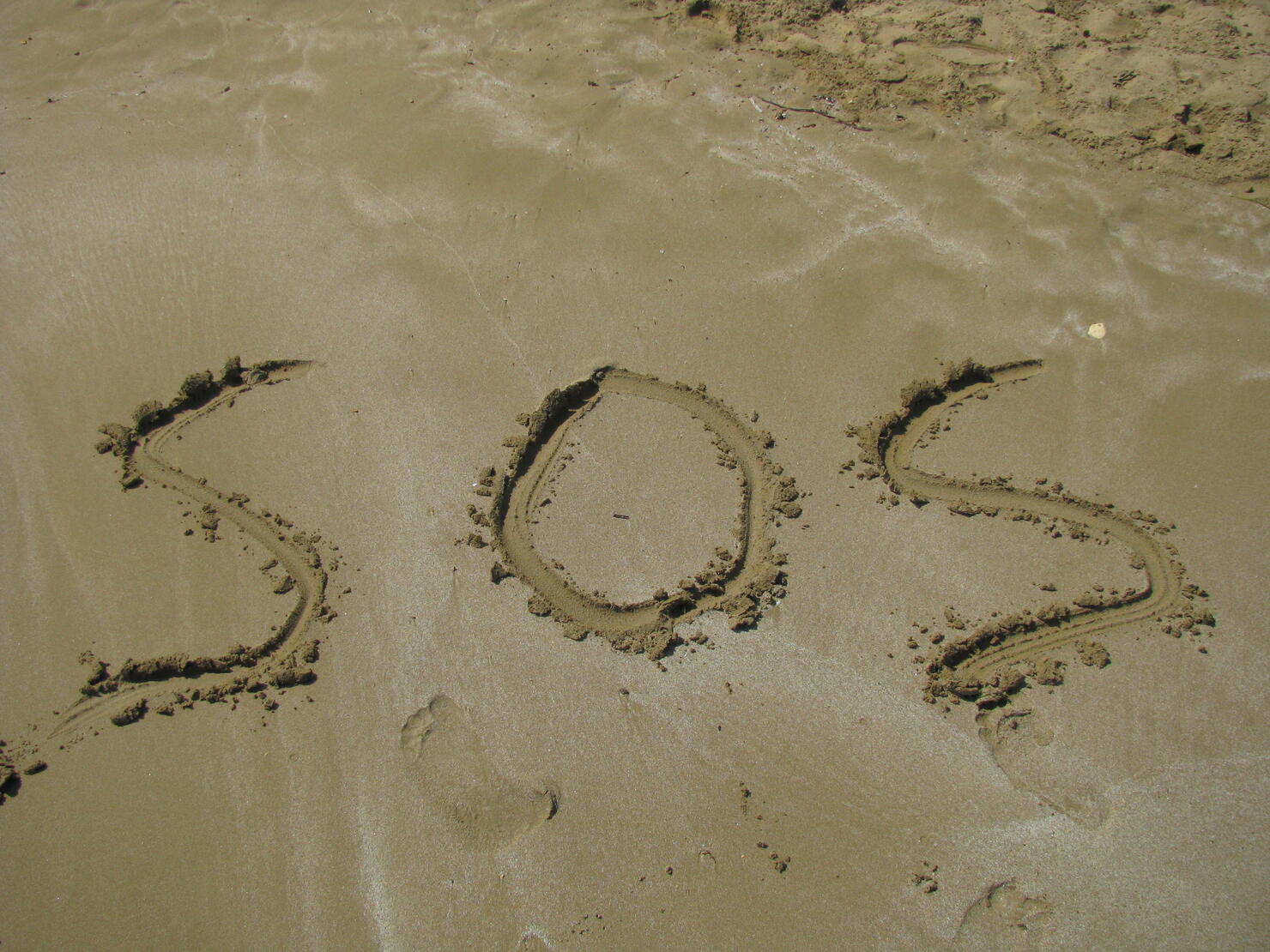 Maui In The Sand