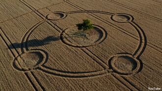 Video: Crop Circle Created Around Tree