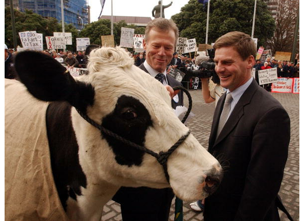 Energy the cow, with National MP's Lockwood Smith,