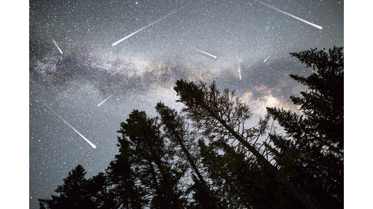 Pine trees silhouette Milky Way falling stars