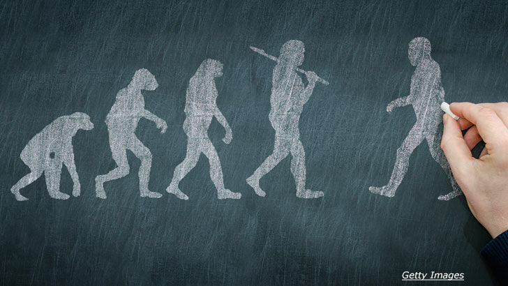 The Creationist Argument