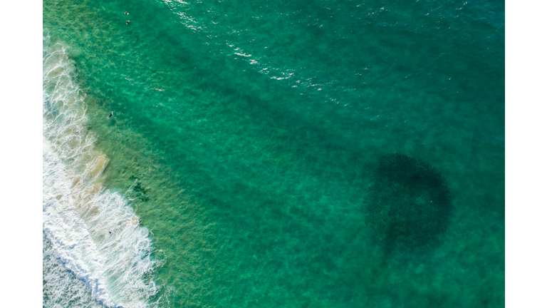 Sydneysiders Continue To Observe Coronavirus Restrictions As NSW Prepares To Ease Lockdown Measures