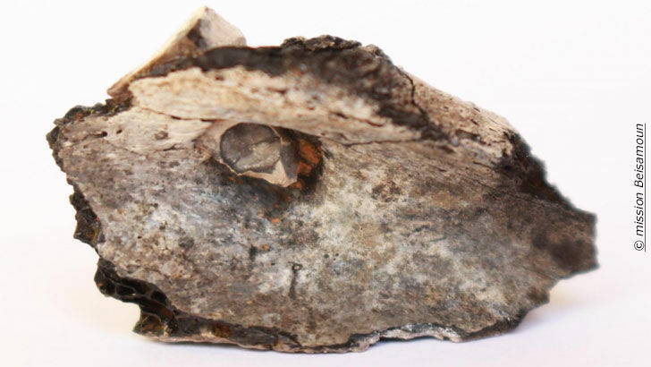 Cremation Site Dates Back to Around 7000 B.C.