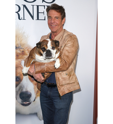 Premiere Of Universal Pictures' "A Dog's Journey" - Arrivals