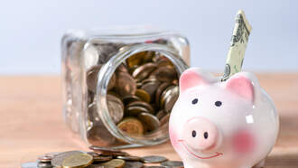 The Gold & The Dross Of Money Maxims On 'How To Money'