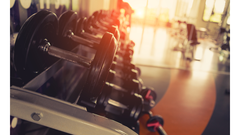 Close-Up Of Dumbbells In Row At Gym