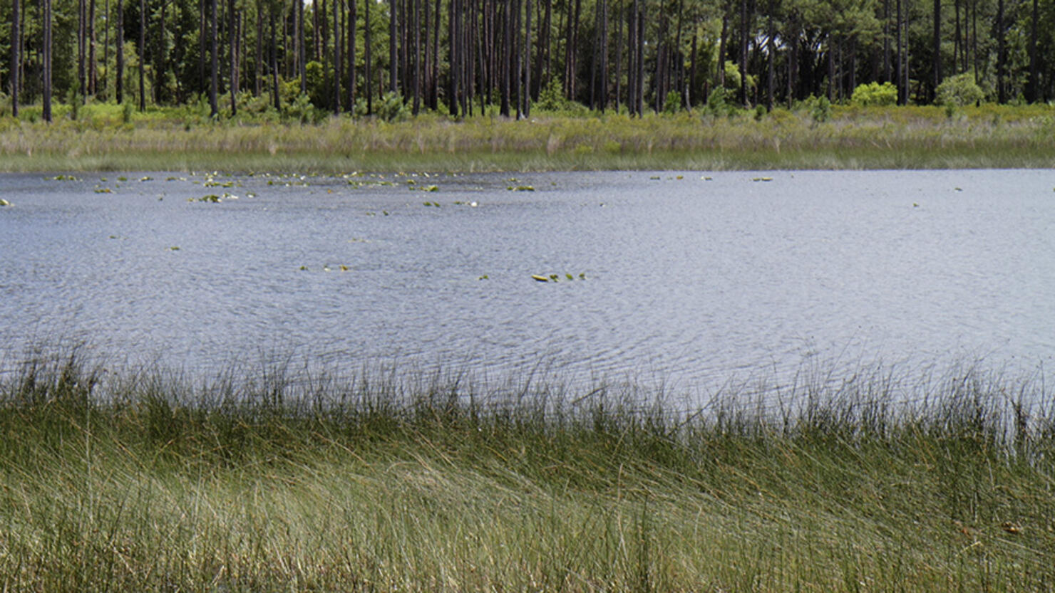 Lake Clearwater.