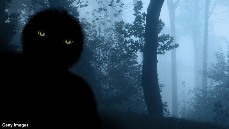 Bigfoot Terrifies Louisiana Teens on Camping Trip?