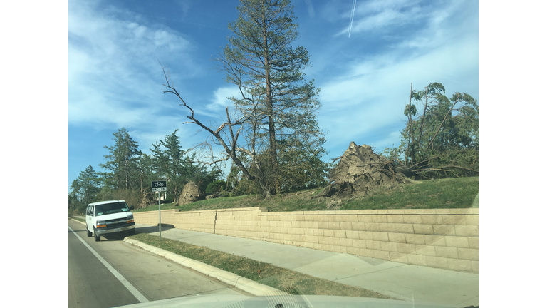 Cedar Rapids, Iowa August 10, 2020 storm damage