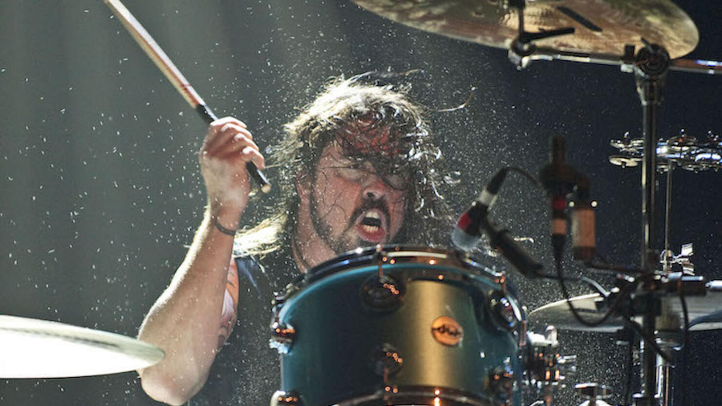 Dave grohl shop dw drums