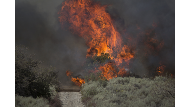 Blue Cut Fire Rages Through 30,000 Acres In Southern California