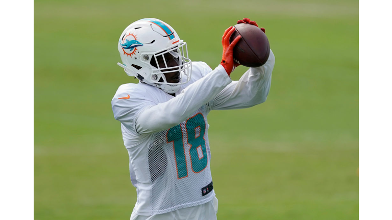 Miami Dolphins Training Camp - Photo Mark Brown / Stringer