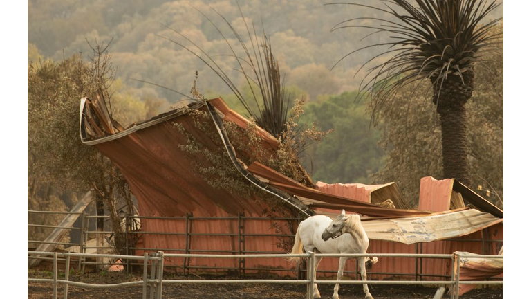 US-WILDFIRES-CALIFORNIA-fire-environment-weather