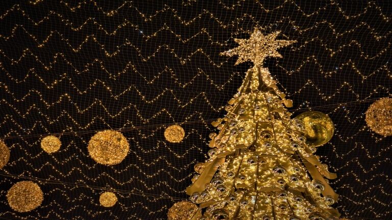 Christmas Season In Mexico City