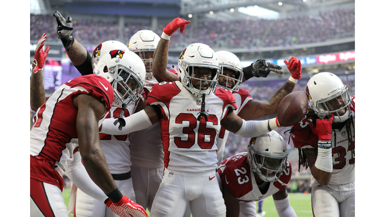 Arizona Cardinals v Minnesota Vikings