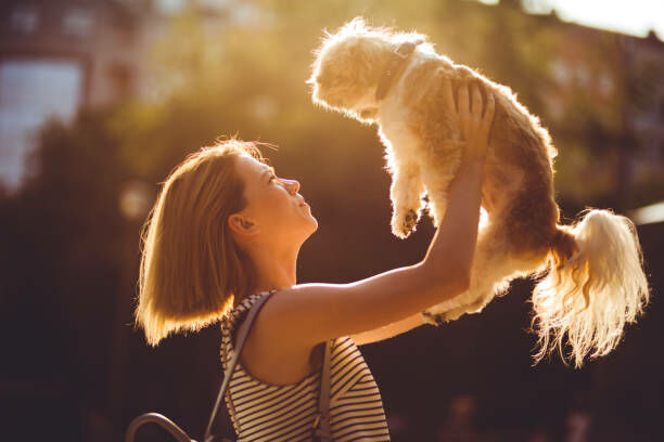 How Getting A Dog Changes Your Brain