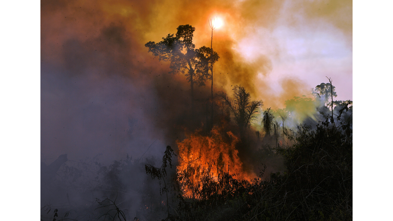 (Photo by CARL DE SOUZA/AFP via Getty Images)