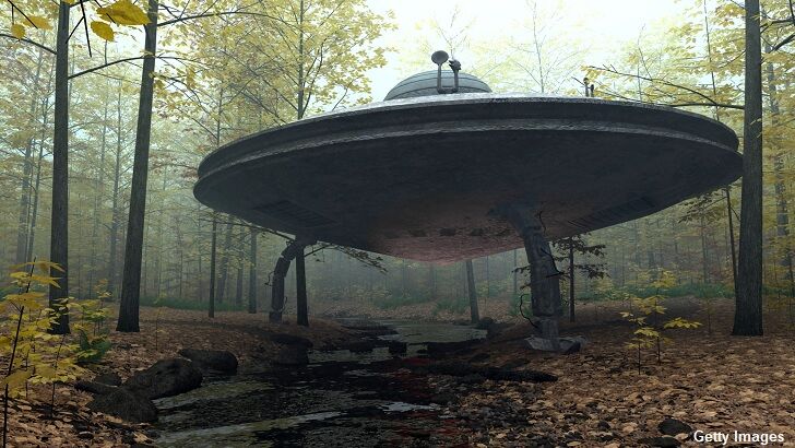 Numerology Insights / Marley Woods Anomalies