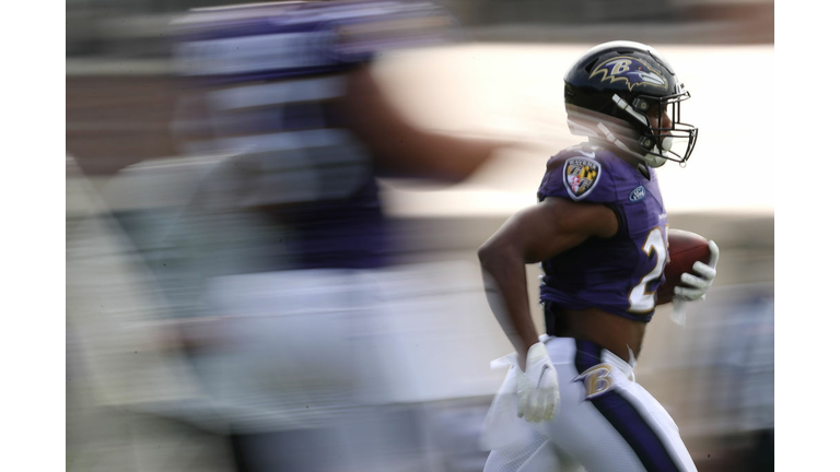 Baltimore Ravens Training Camp