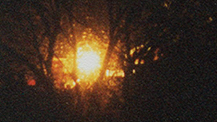 Thomas Ferrario Images of Anomalies