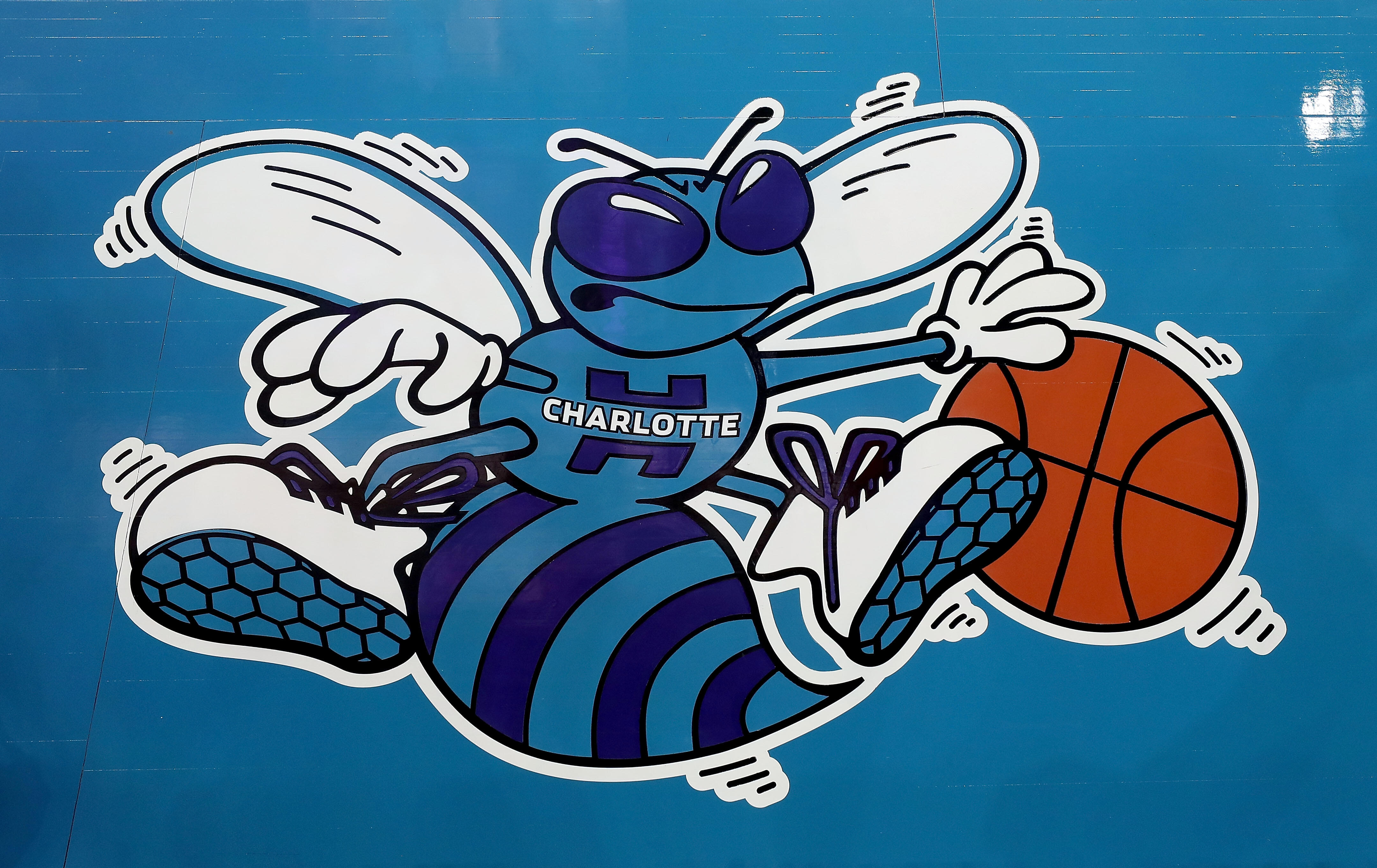 Hornet nba. Sharlot Xornet. Шарлотт Хорнетс лого. Charlotte Hornets NBA.