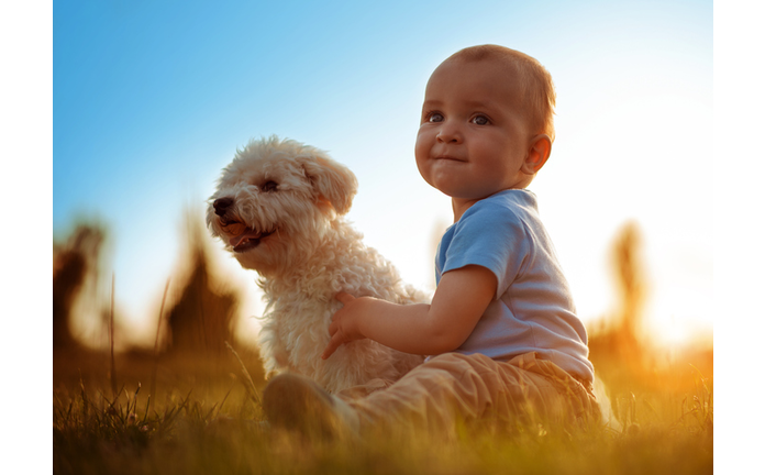 Happy child playing with his dog