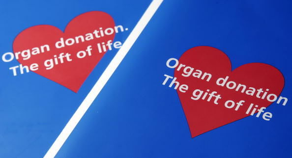 Two organ donor application leaflets are