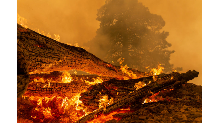 Bobcat Fire Burns East Of Los Angeles