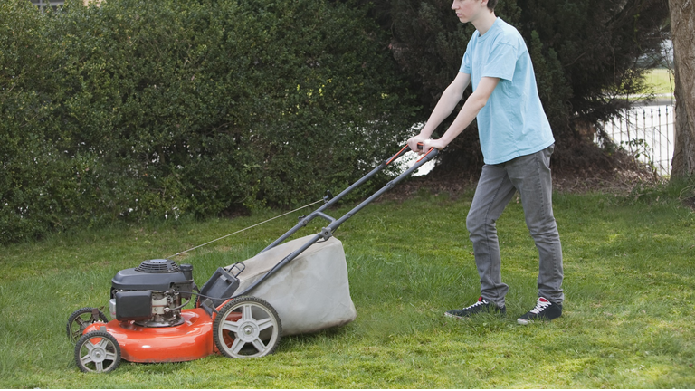 Boy Mows the Front Lawn  - 1