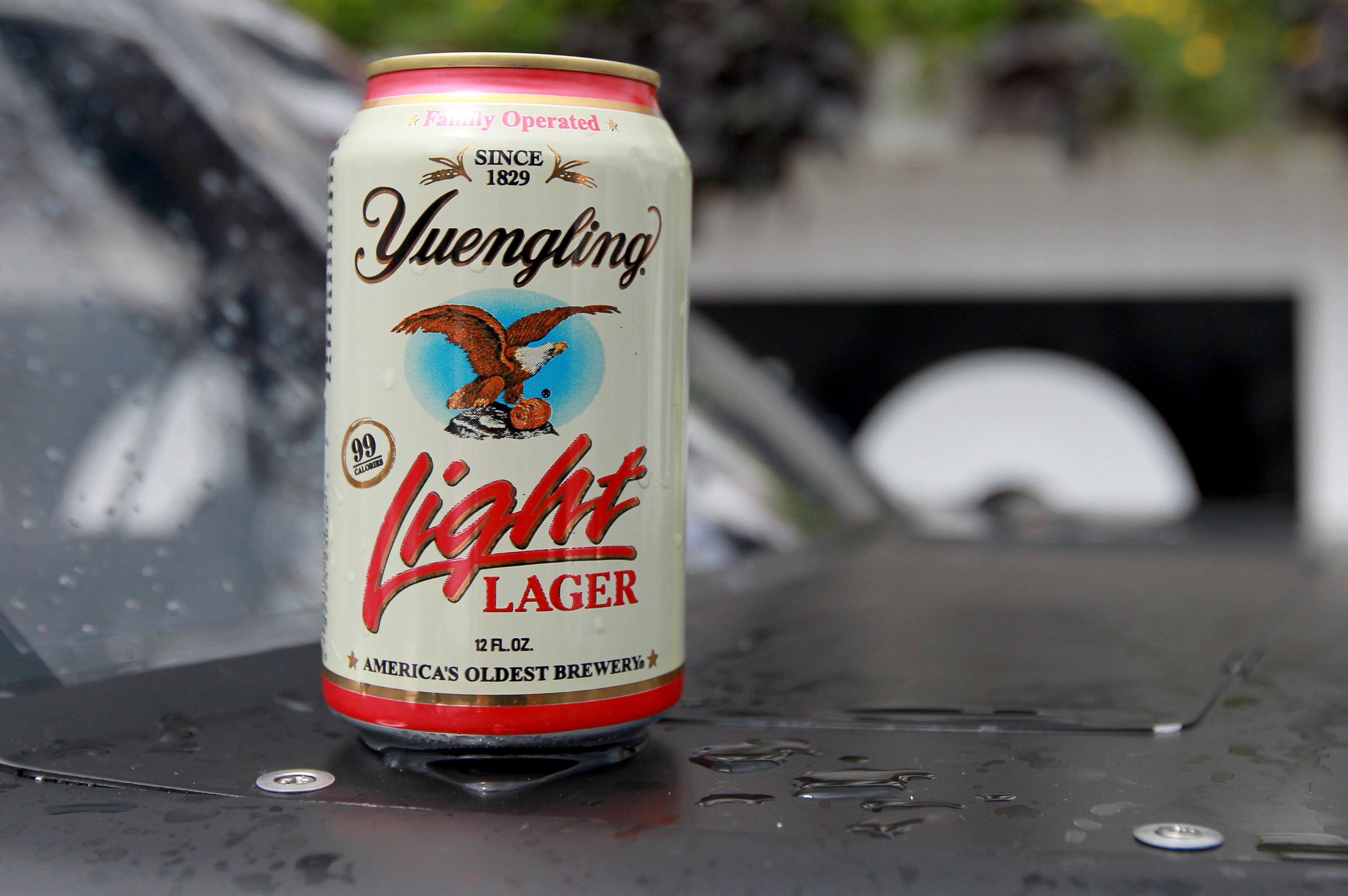 Yuengling Ventures West In New Partnership With Chicago Based Molson   5f62467af002e46159dcfd7f