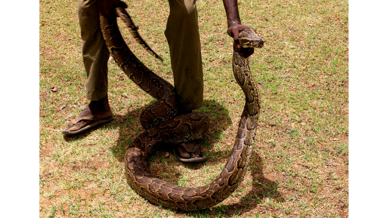 SUDAN-ANIMAL-ZOO-HEALTH-VIRUS