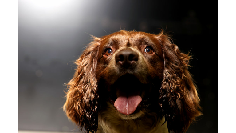 Credit: Getty Images