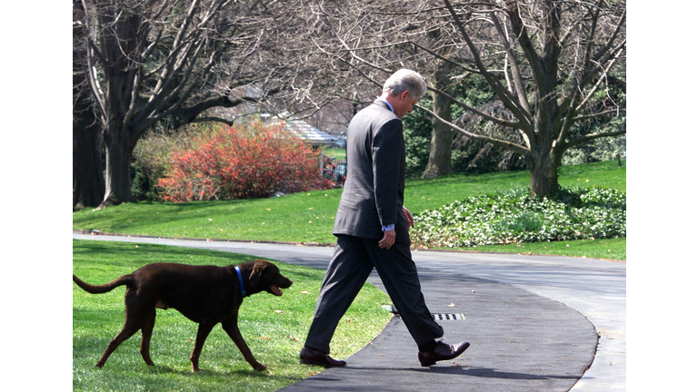 US President Bill Clinton walks with his dog, Budd