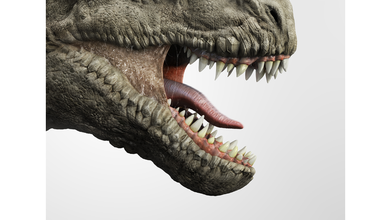 Close up of T-rex dinosaur mouth