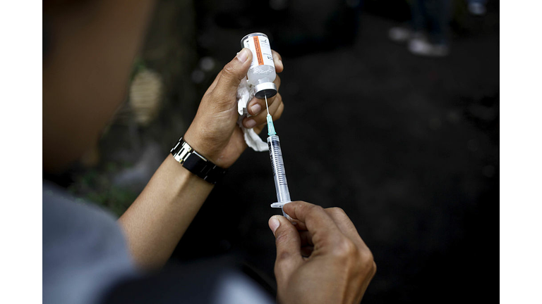 Bali Works To Eradicate Rabies Island-Wide