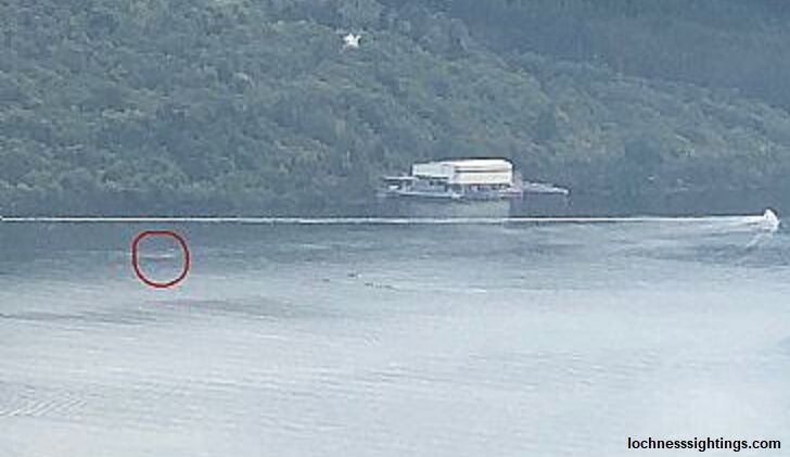 Multiple Nessie Sightings Reported