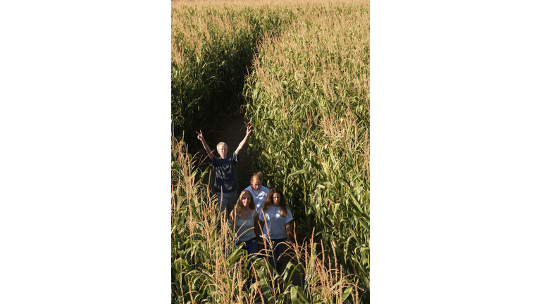 Patriotic Corn Maze in Colorado