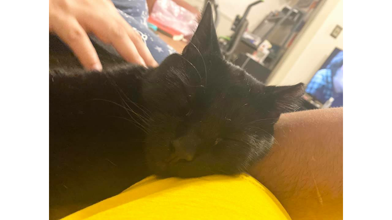 Meet Juggy update for adoption!!!!