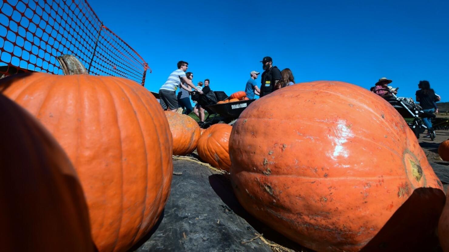 Are stores open thanksgiving day