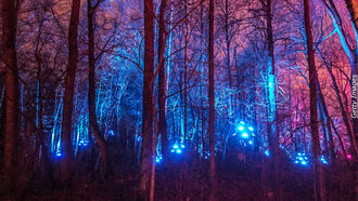 Demonic Possession / UFO Disclosure