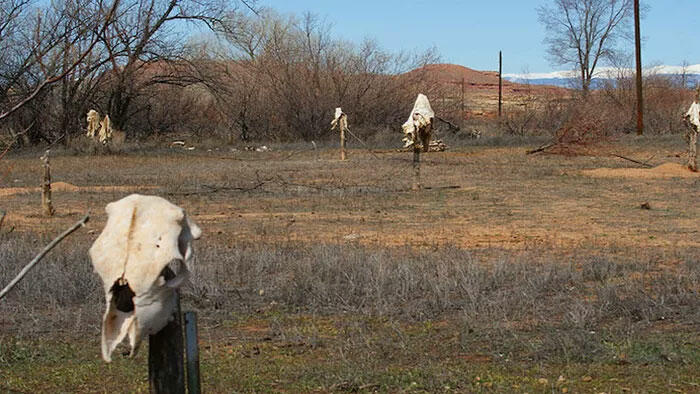 Skinwalker Ranch Photos by Chris Bartel Coast to Coast AM