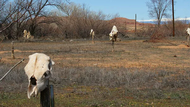 Skinwalker Ranch Photos by Chris Bartel | Coast to Coast AM