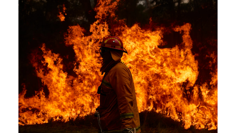 Order The 2021 Australian Firefighters Calendar Featuring Animals!