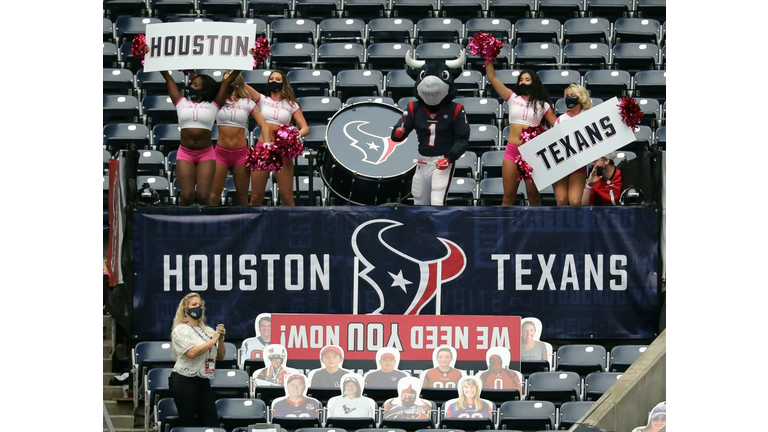 Minnesota Vikings v Houston Texans