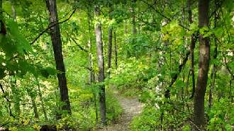 Spending Time In Nature