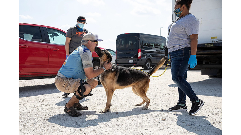 Savage reunited courtesy of ASPCA 